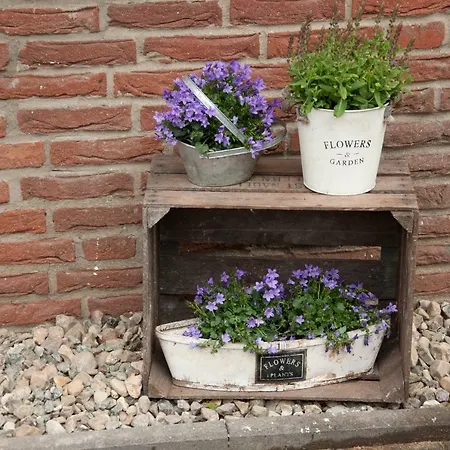 아파트 Noorden Stuuv Wittenborn