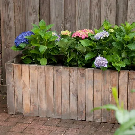 Noorden Stuuv 아파트 *