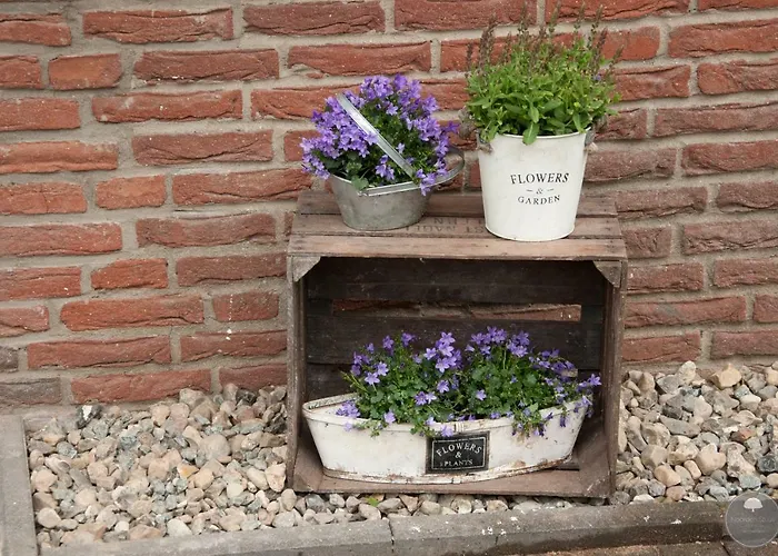 Lägenhet Noorden Stuuv Wittenborn